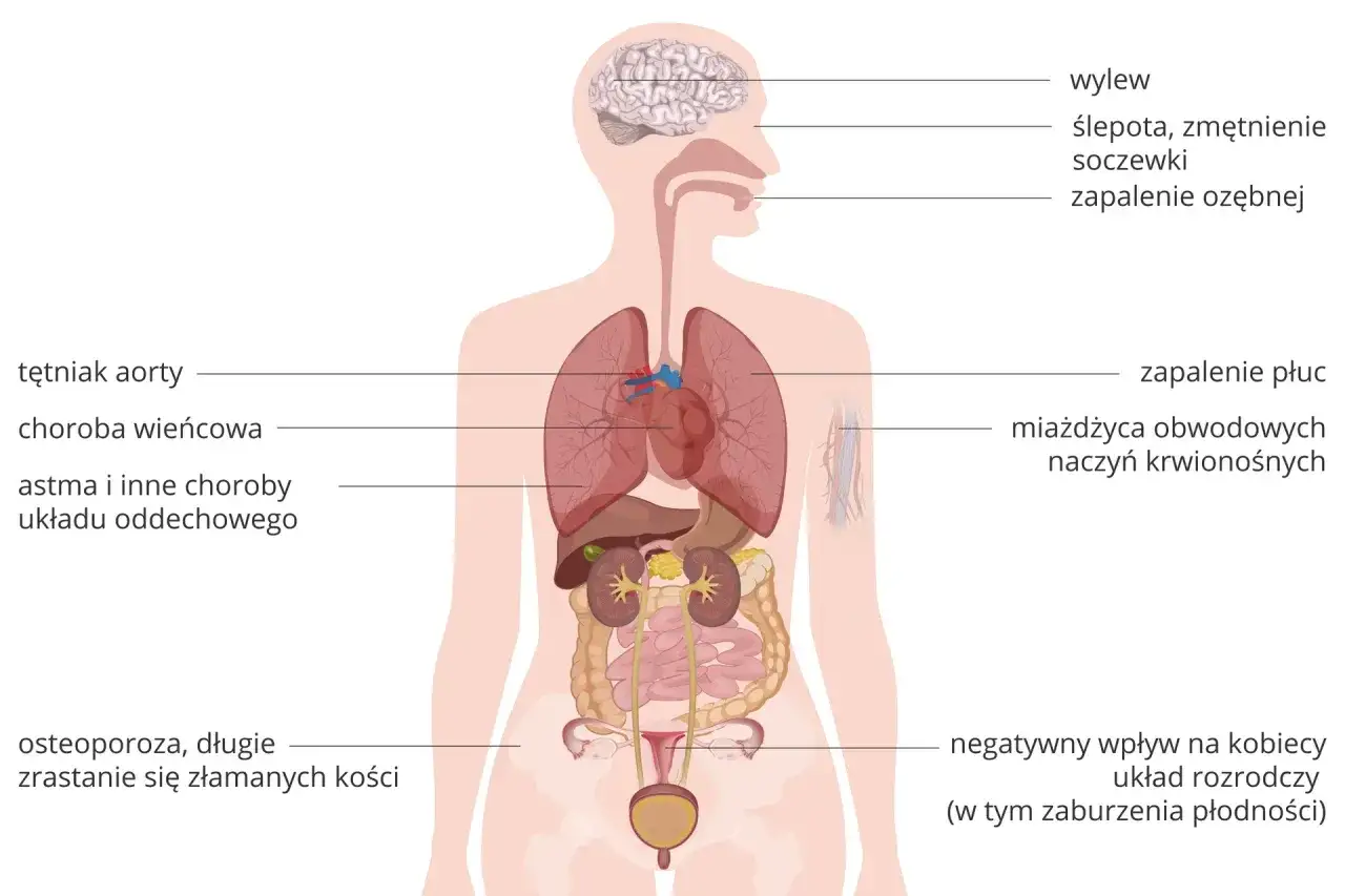 Układ oddechowy - jak działa od nosa po pęcherzyki płucne