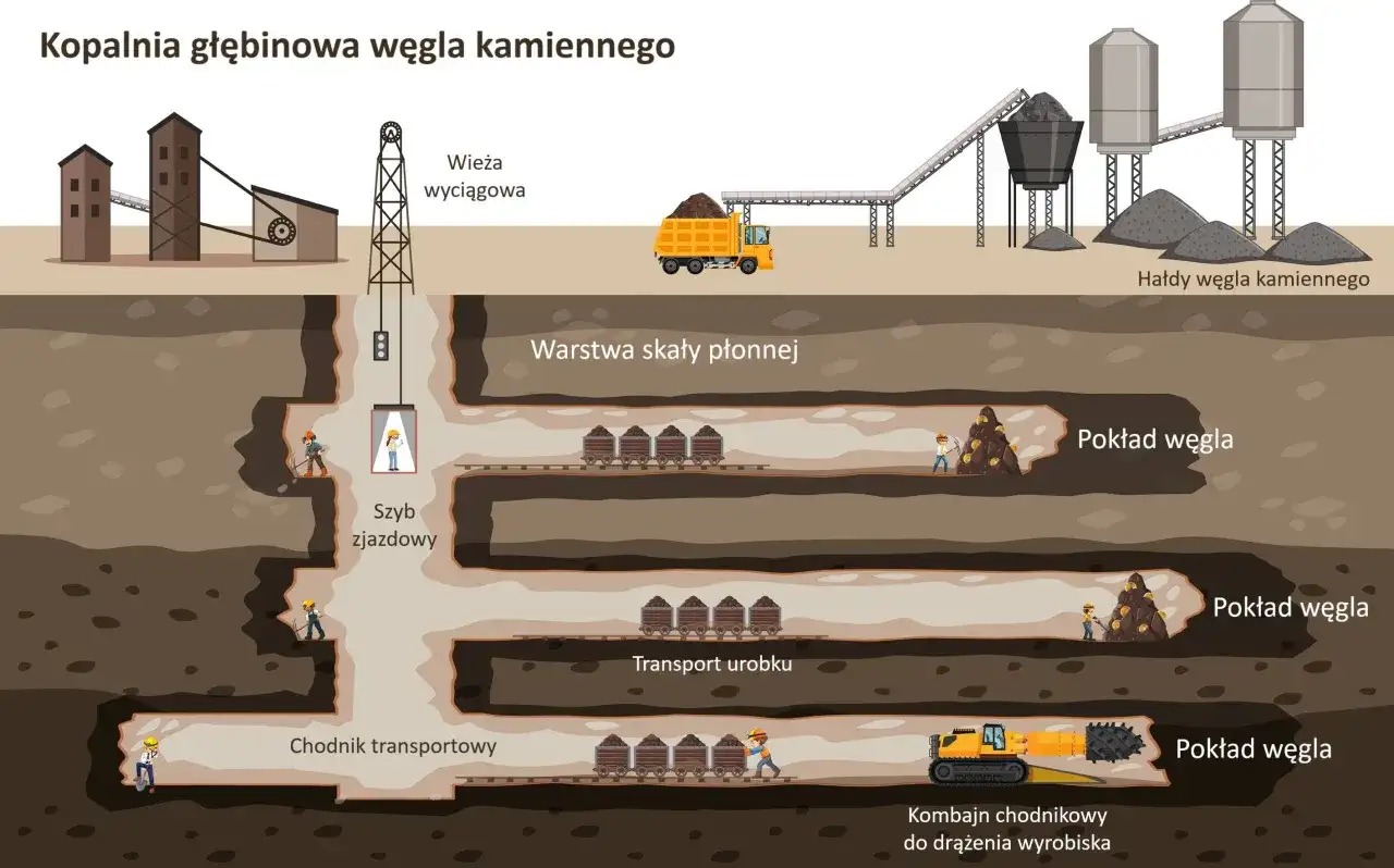 Jak powstaje węgiel kamienny? Poznaj fascynujący proces