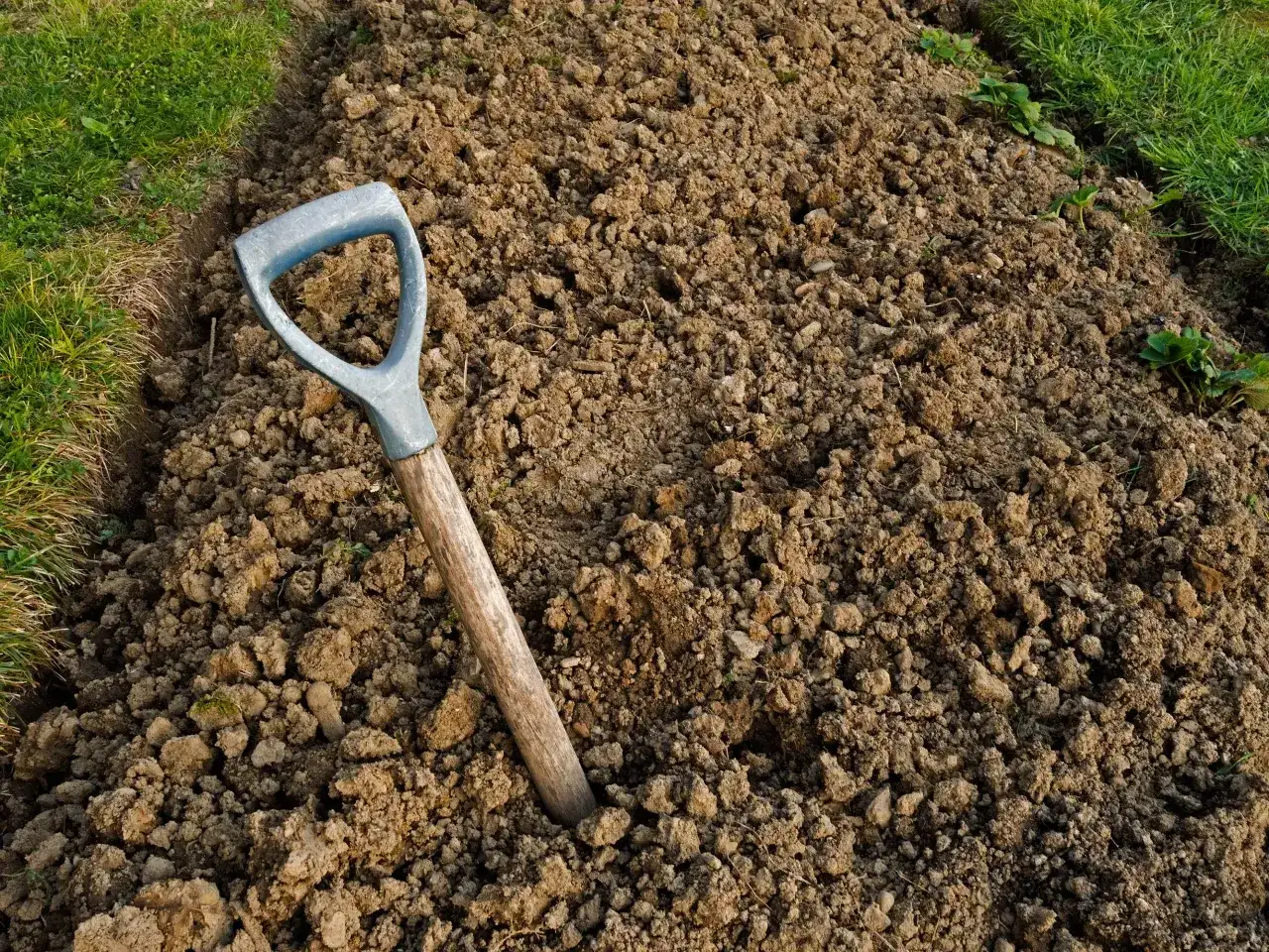Gleba piaszczysto-gliniasta - jak ją prowadzić dla lepszych plonów?