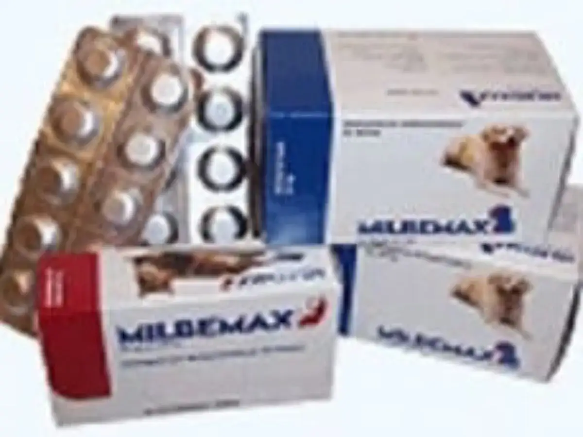Milpro pour chien - le guide du dosage et des précautions