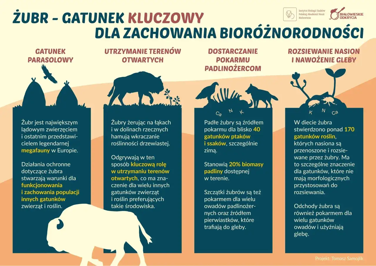 Ile procent ma Żubr - Dlaczego dane w sieci bywają mylące?