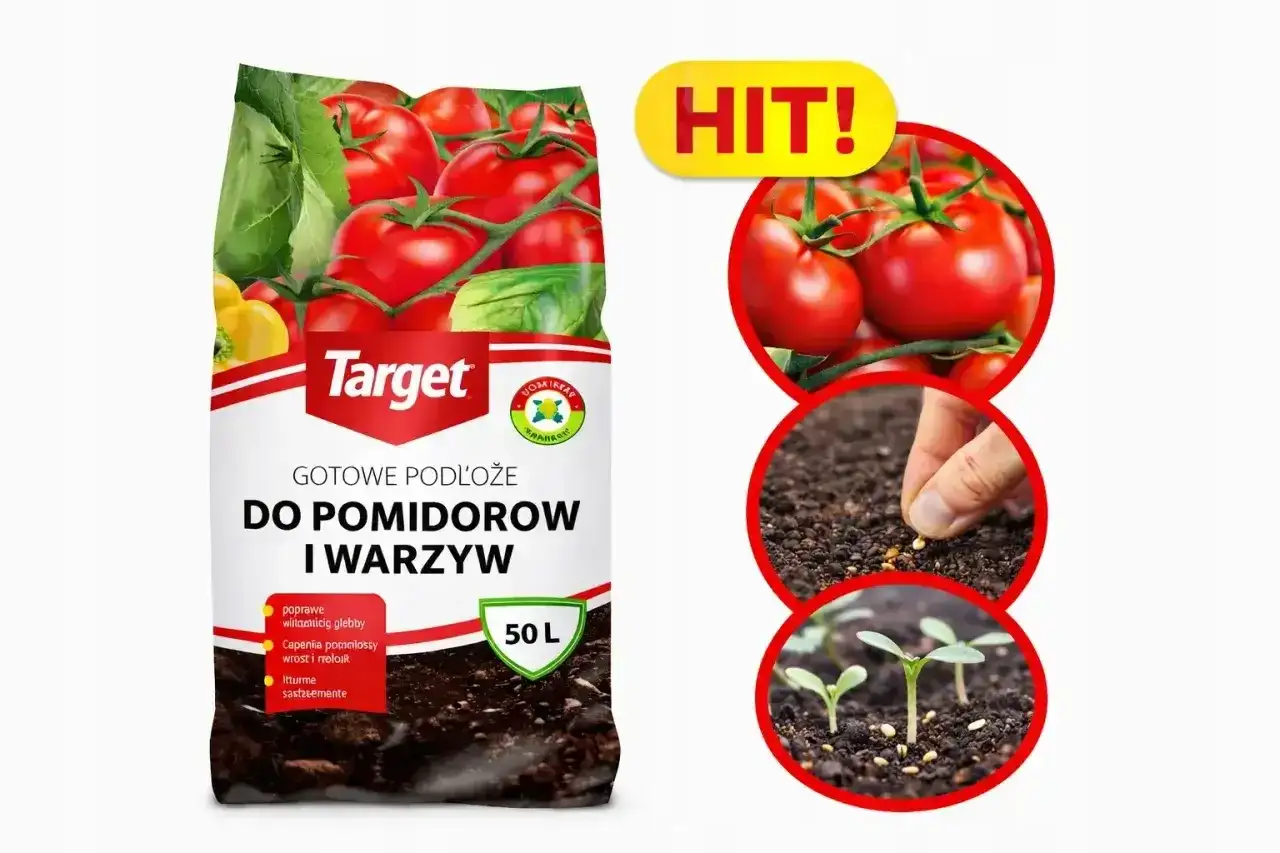 Podlewanie i nawożenie pomidorów - klucz do obfitych zbiorów