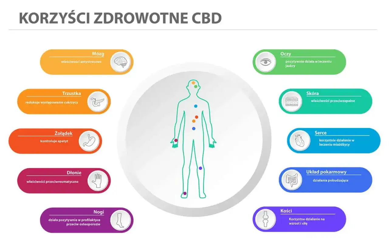 CBD a depresja - co naprawdę wiadomo i kiedy uważać