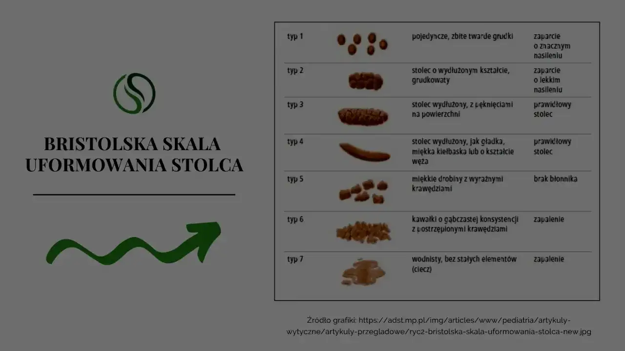 Skala bristolska stolca - jak czytać typy 1-7?