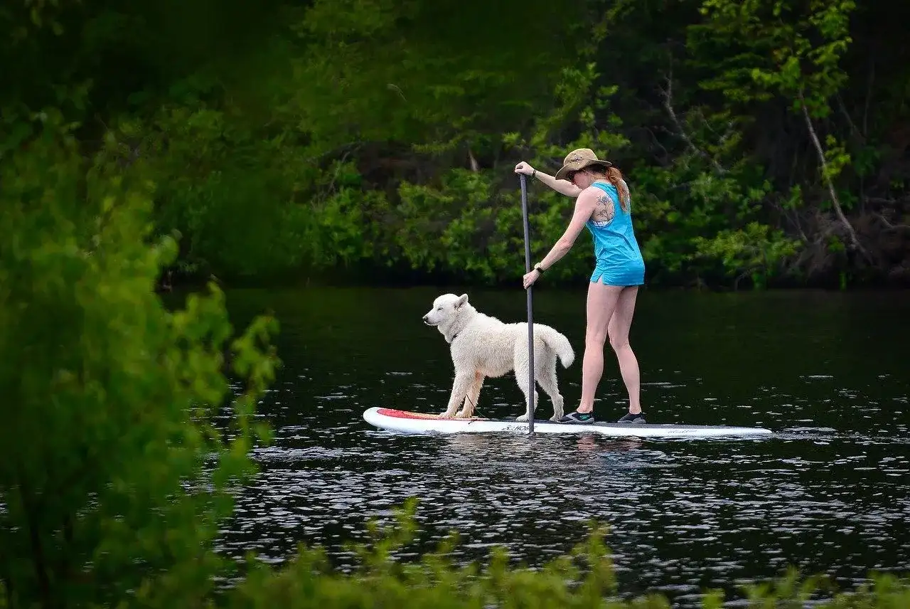 Activités insolites avec son chien - idées et conseils