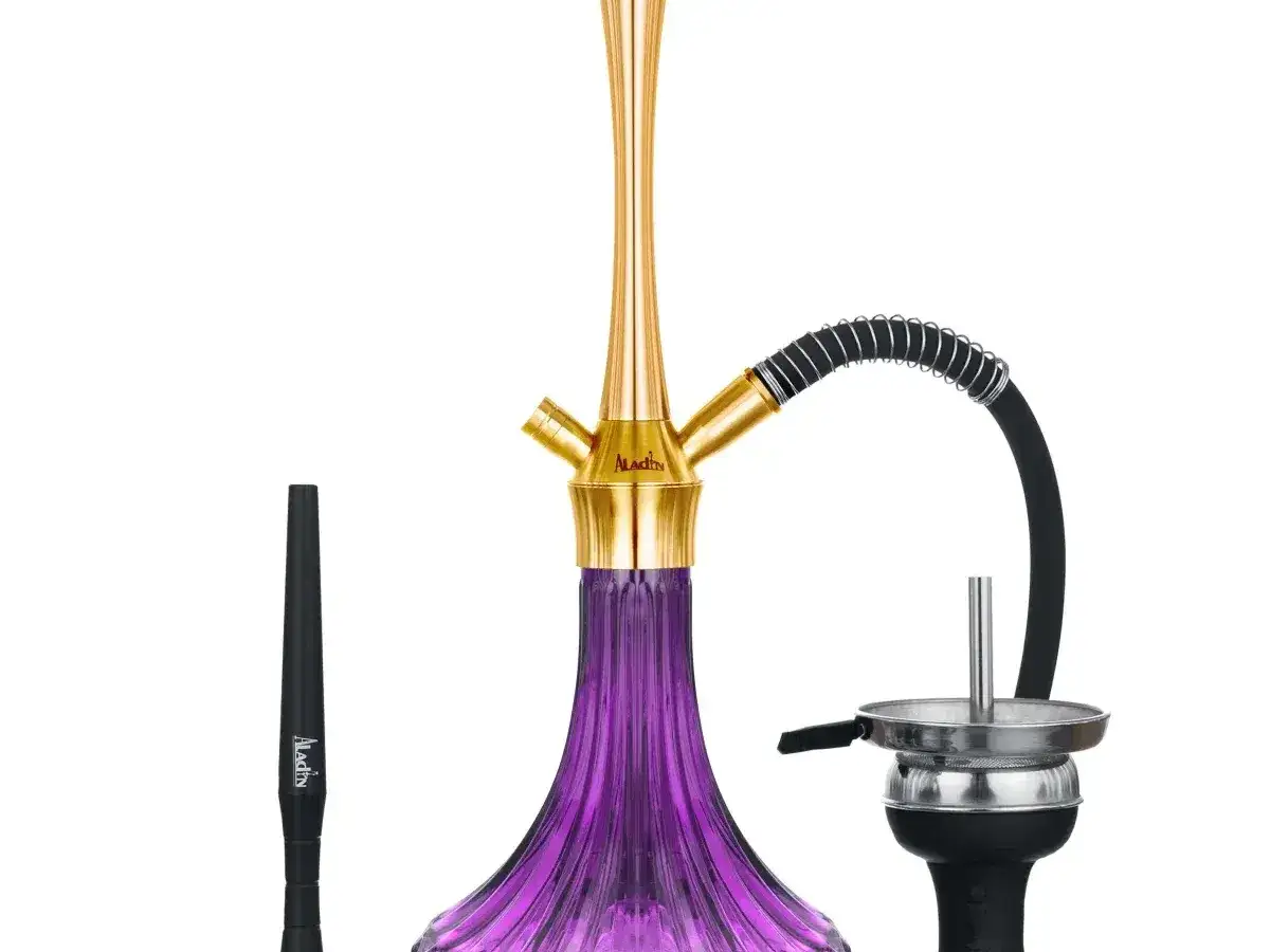 Aladin shisha - så väljer du rätt modell