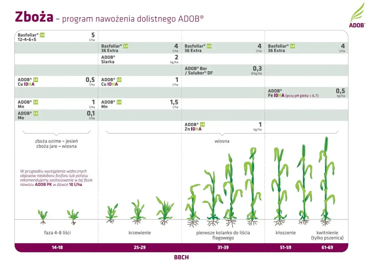 Nawożenie dolistne Basfoliar - kiedy działa najlepiej?