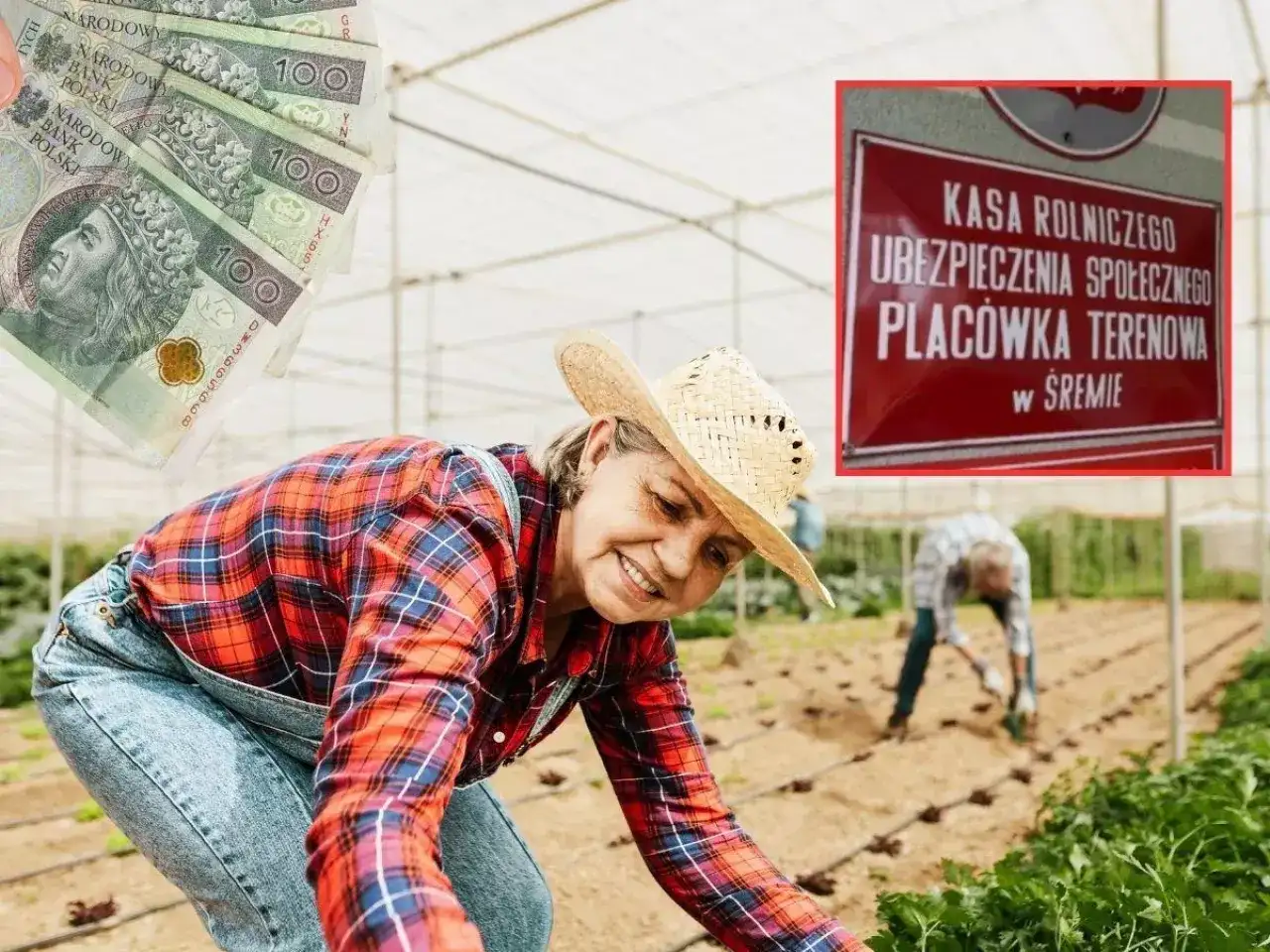Emerytura rolnicza po 40 latach: ile wyniesie? Wyliczenia KRUS