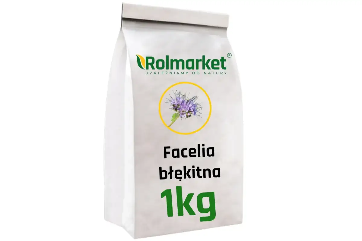 Facelia - cena za tonę. Czy to się opłaca?