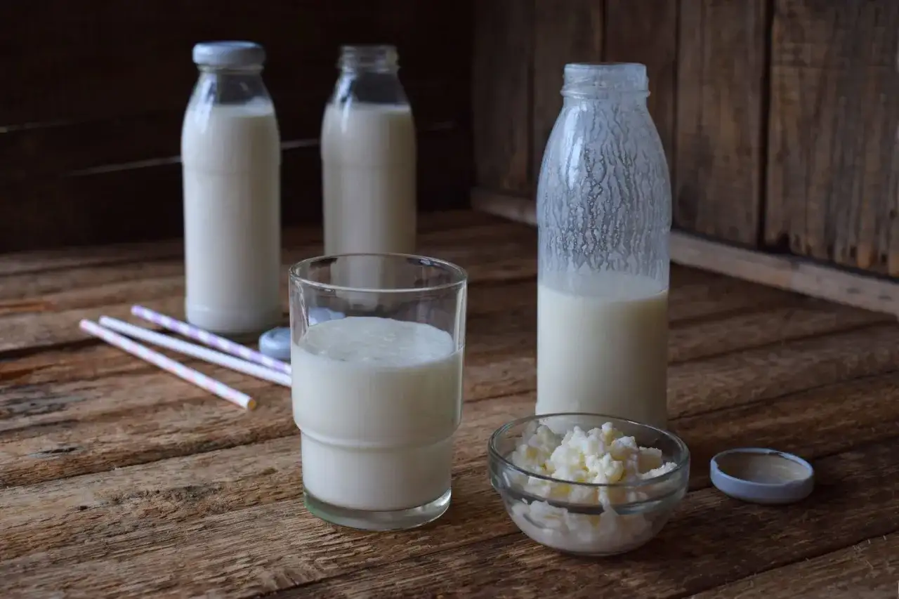Grzybek tybetański - domowy kefir krok po kroku. Poradnik!