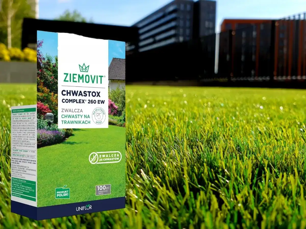Chwastox Complex 260 na trawnik - Dawkowanie i błędy do uniknięcia