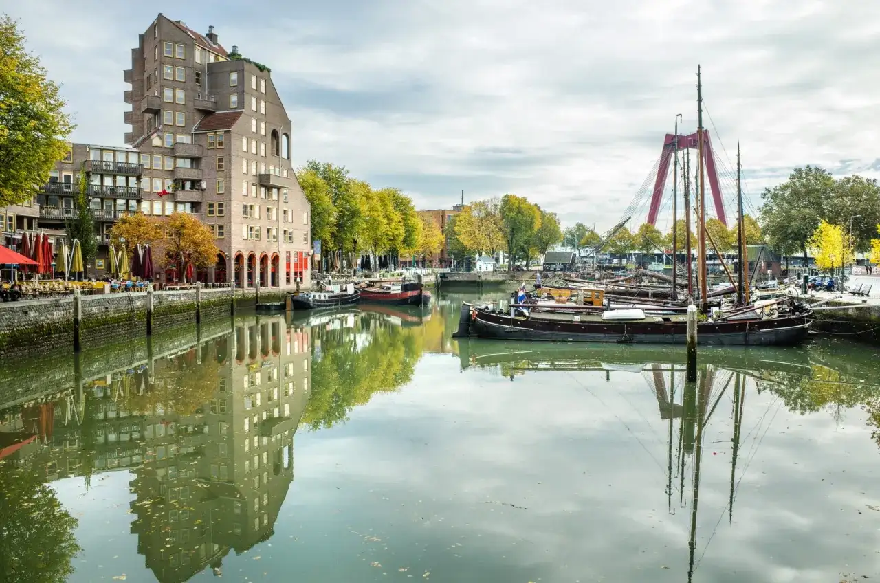 Gdzie leży Rotterdam? Mapa, dojazd i zwiedzanie – przewodnik