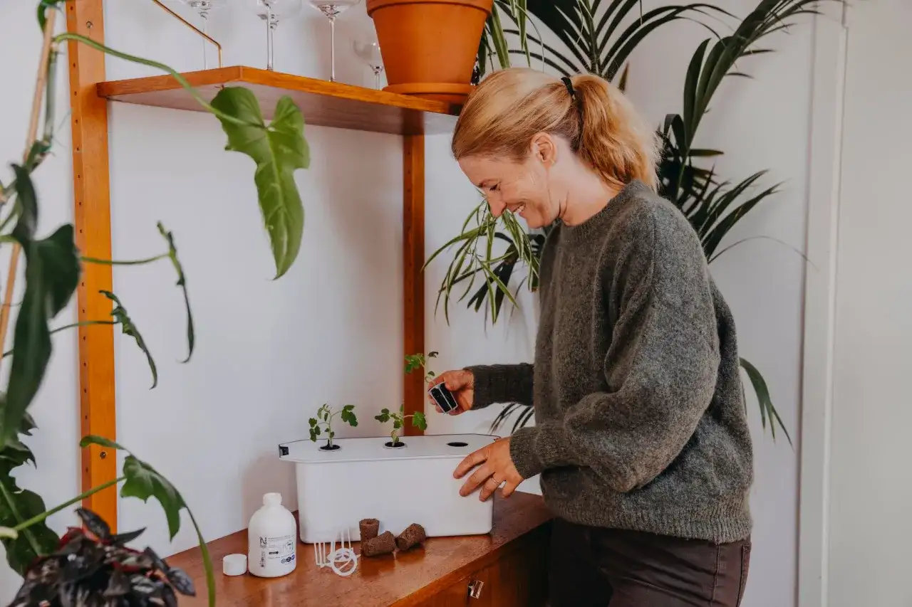 Harvy 6 eller Harvy 3? Så väljer du rätt hydroponik