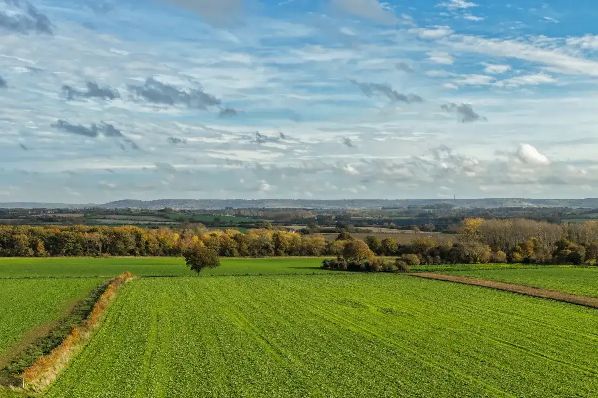 Ceny ziemi rolnej - Ile kosztuje hektar w Polsce? Sprawdź dane GUS