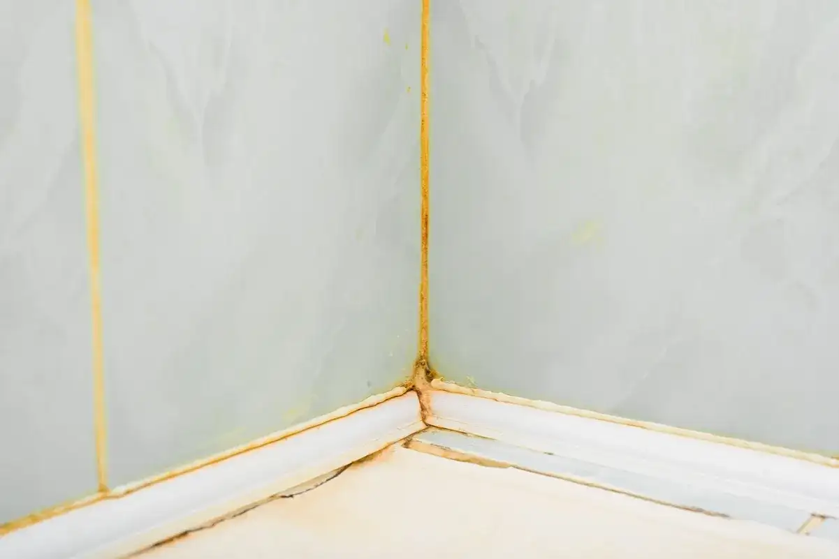 Grzyb na fugach pod prysznicem? Skuteczne metody usuwania i zapobiegania