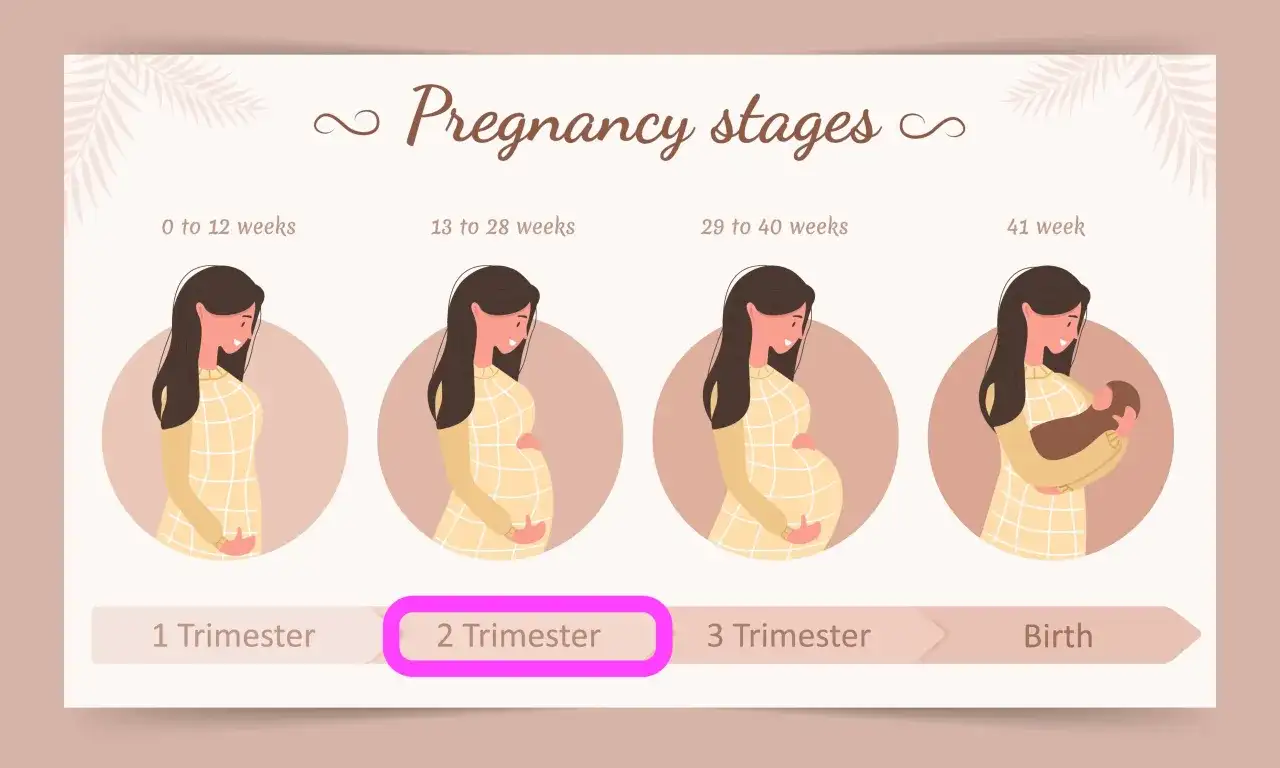 Drugi trymestr ciąży - co musisz wiedzieć?