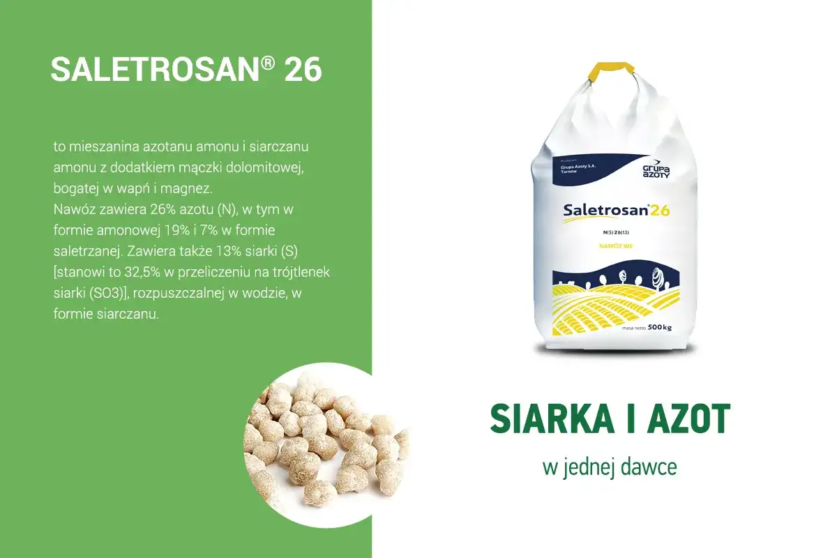 Saletrosan w praktyce - kiedy wybrać wersję 26, a kiedy 30?