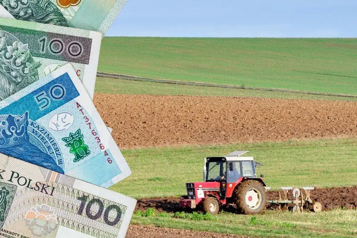 Wsparcie dla małych gospodarstw - 100 tys. zł i więcej. Jak je zdobyć?