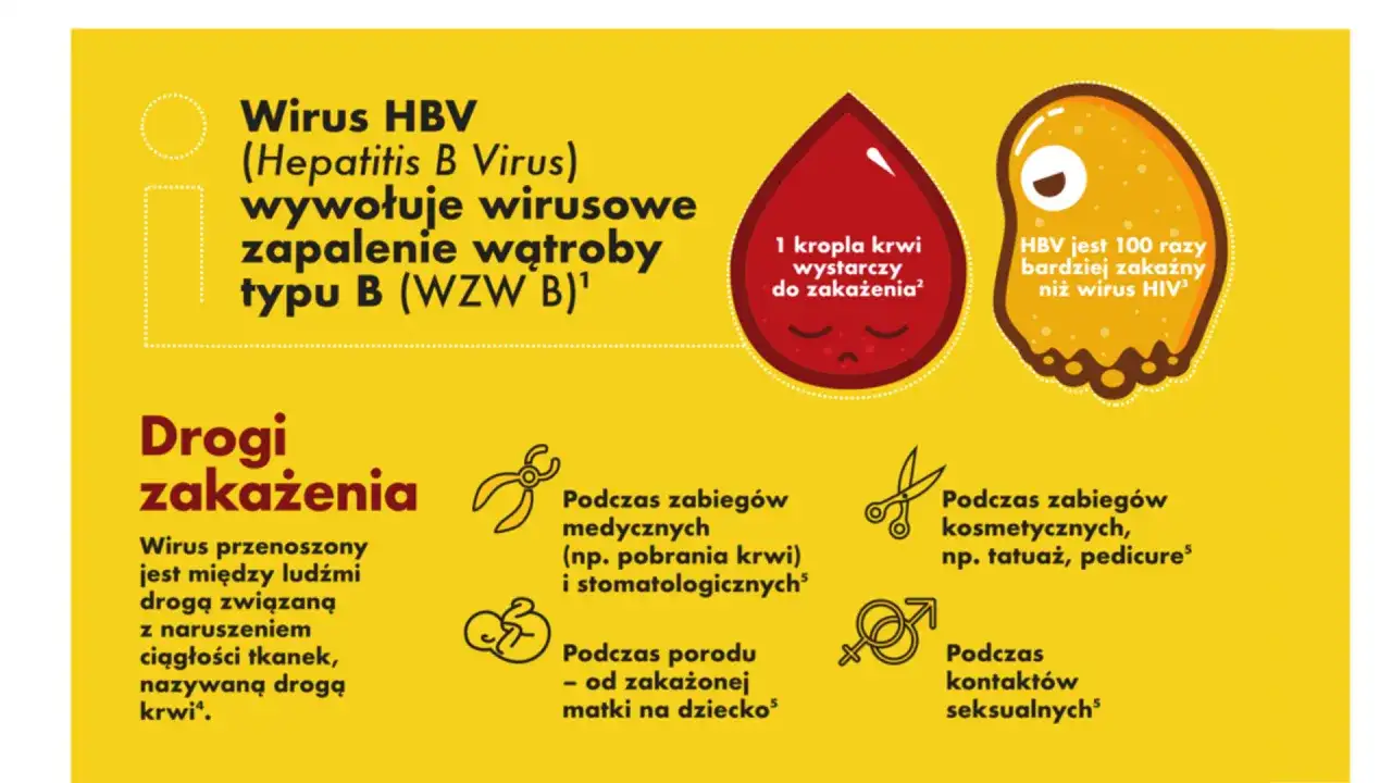 Szczepienie przeciw WZW B - Jak wygląda schemat i kto musi je przyjąć?