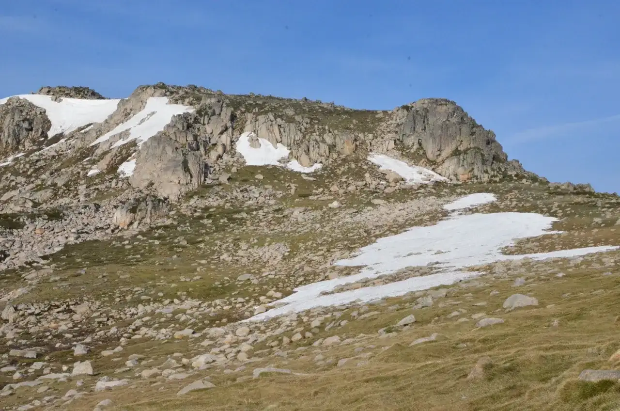Mount Kosciuszko – najwyższy szczyt Australii? Jak zdobyć!