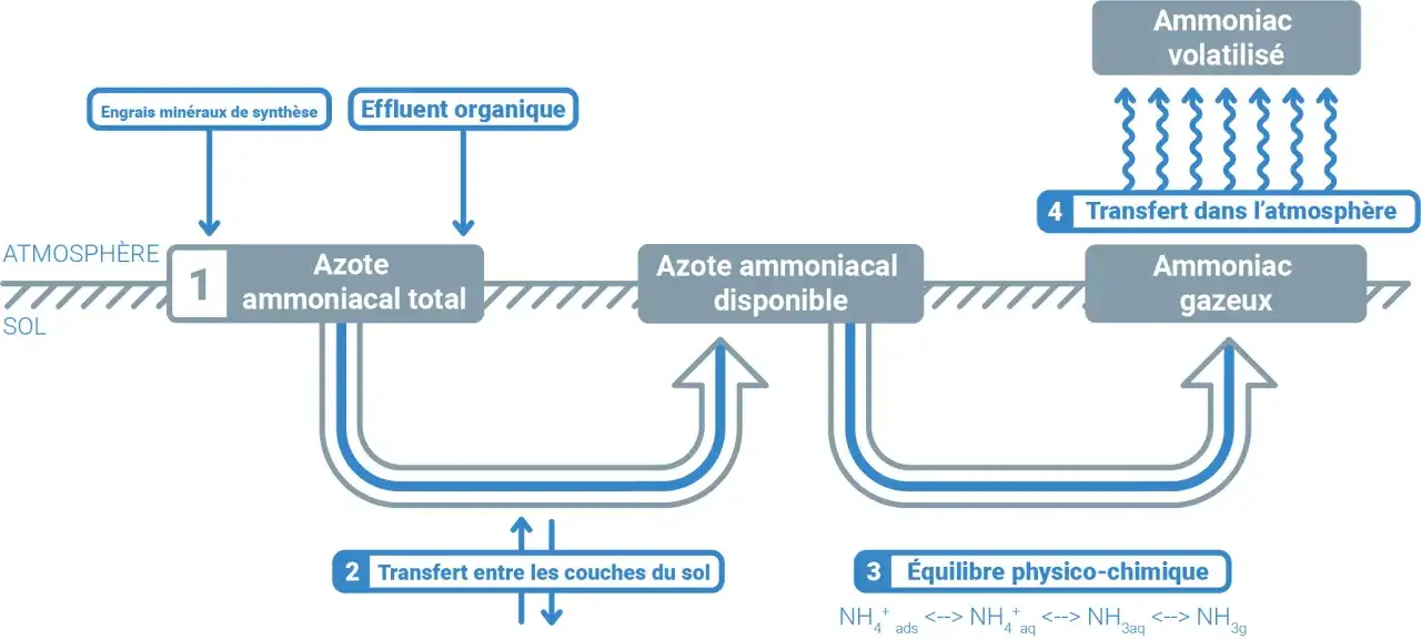 Engrais Nexen - Sécurisez l'azote, évitez la volatilisation