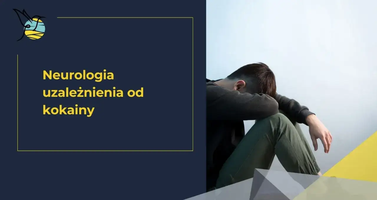 Kokaina - jak działa, jakie daje objawy i dlaczego jest groźna?