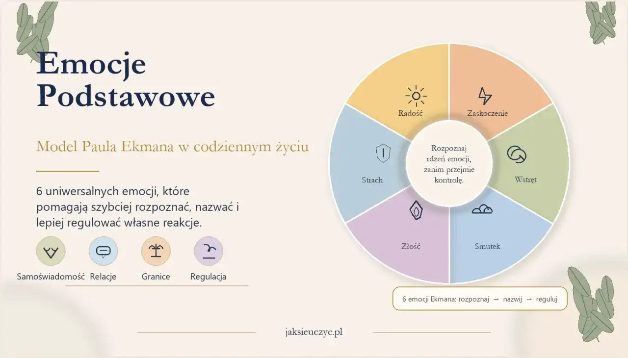 Psychologia emocji - jak powstają i jak je regulować