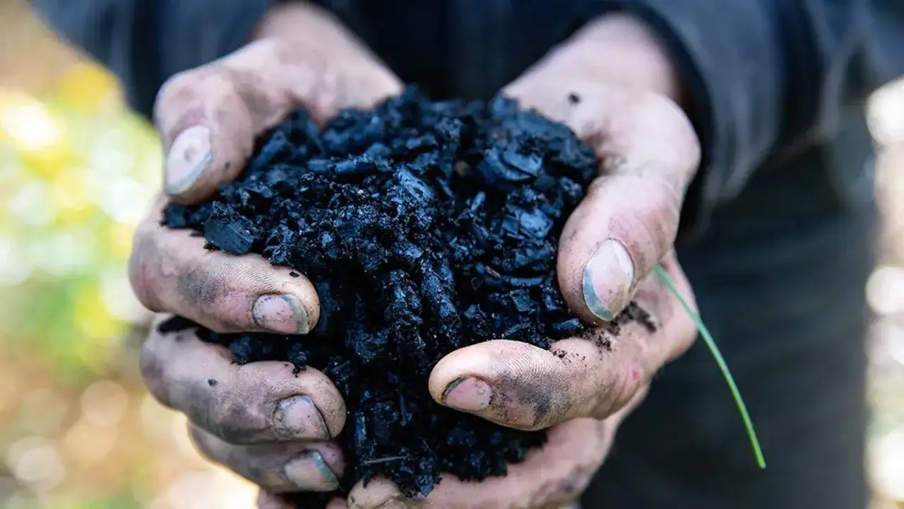 Biokol i jorden - så tillverkar och använder du det