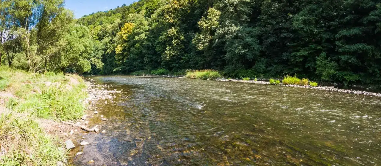 Nysa Kłodzka - Gdzie na spacer, kajak i plażę? Sprawdź, co wybrać