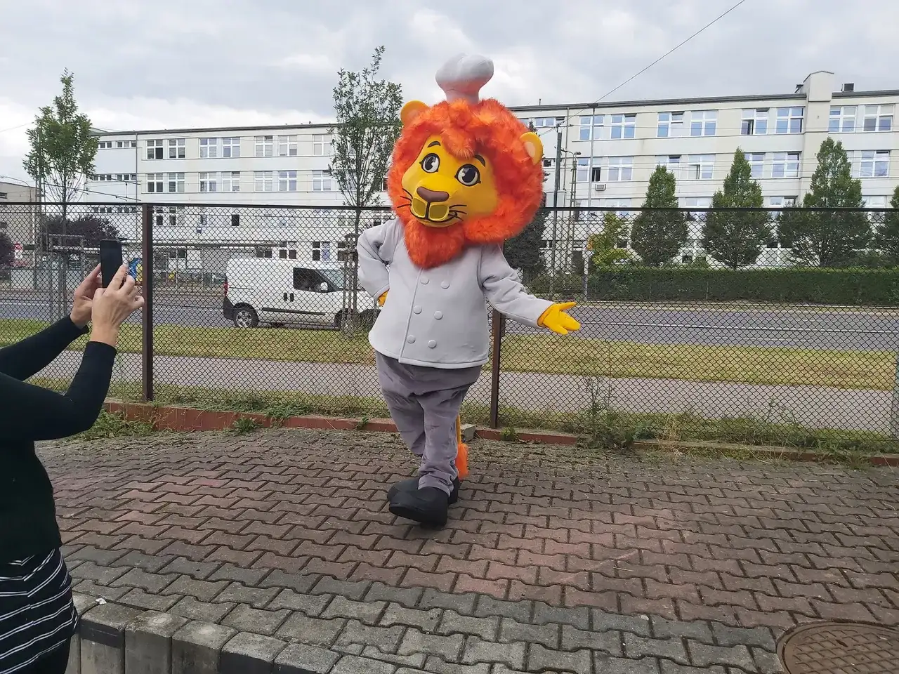 Strój lwa dla dziecka: kupić czy zrobić samemu? Poradnik