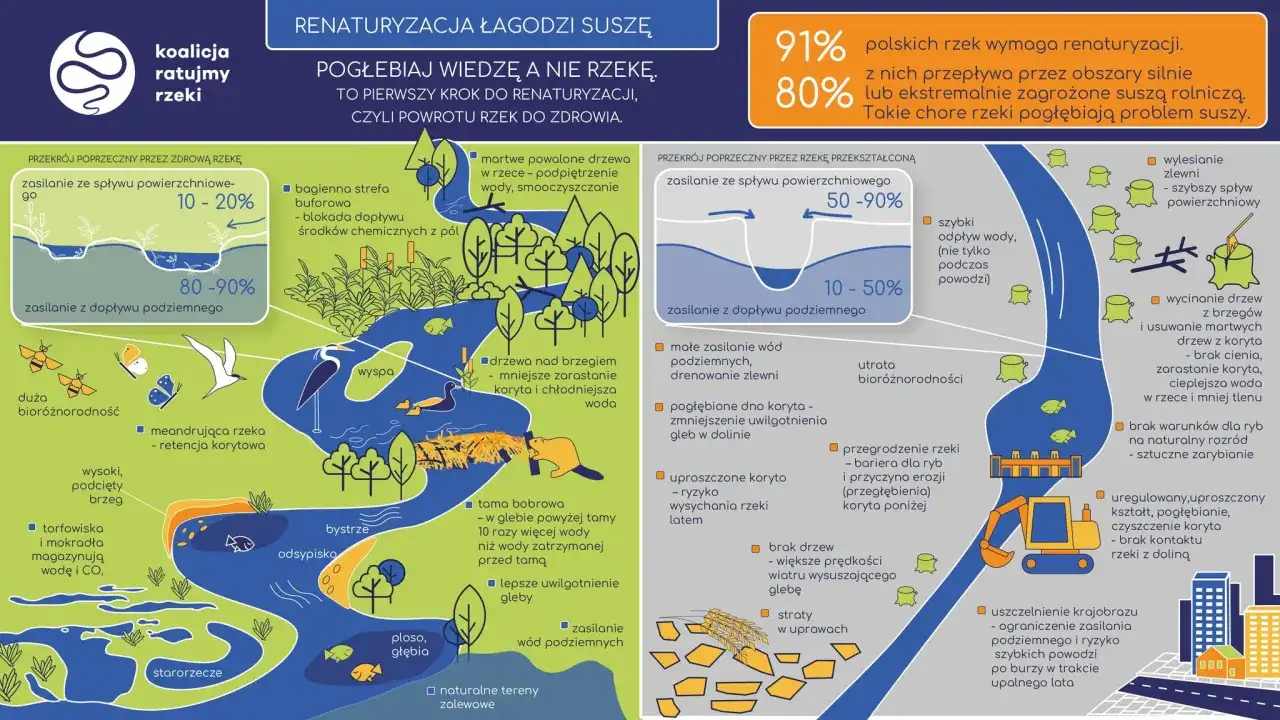 Rzeka Orinoko - Przewodnik po krajobrazach i znaczeniu