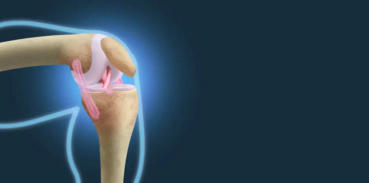 Więzadła Coopera - anatomia, sport i sygnały ostrzegawcze