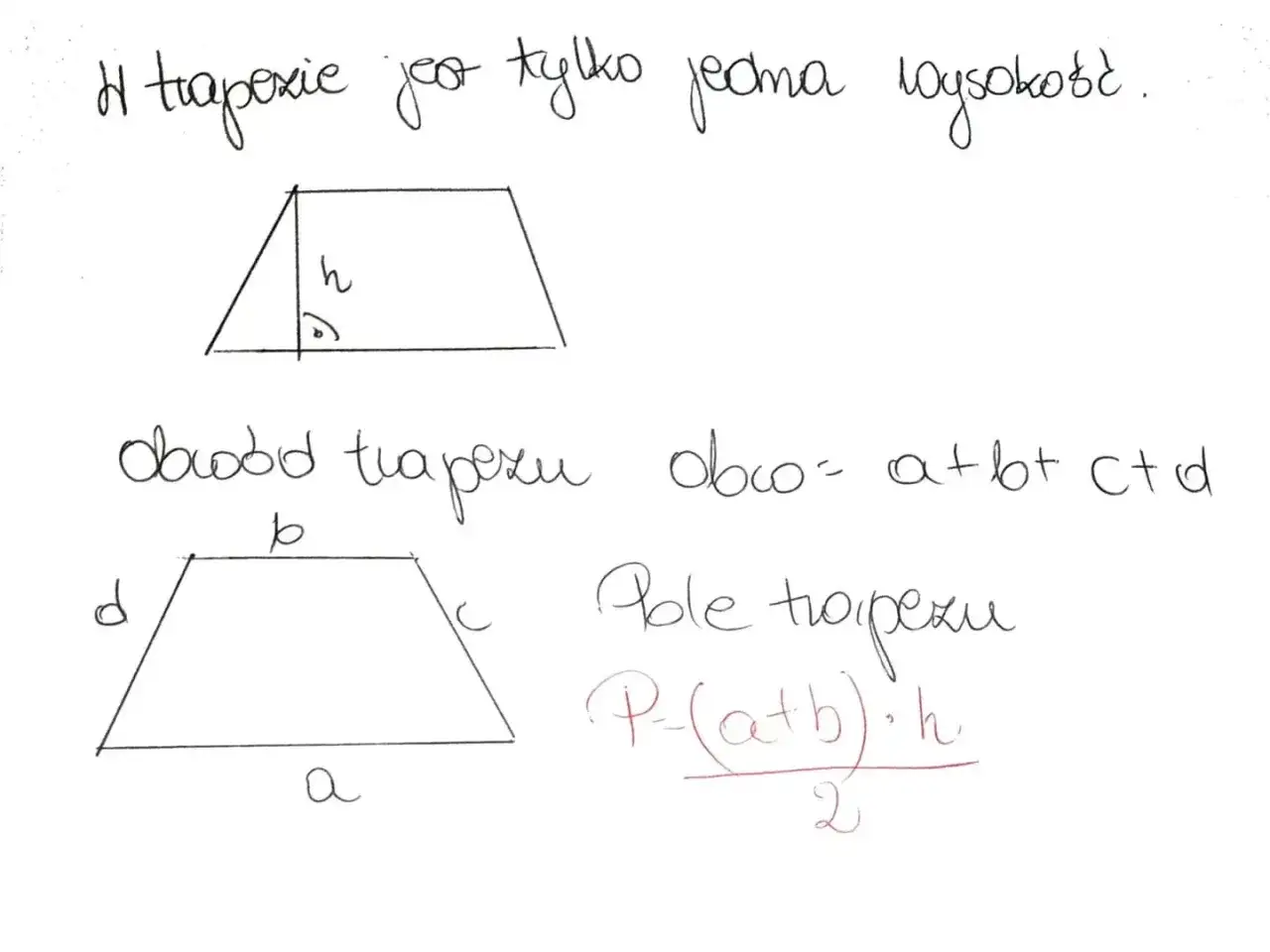 Czworokąty - definicje, typy i triki. Policz pole bezbłędnie!