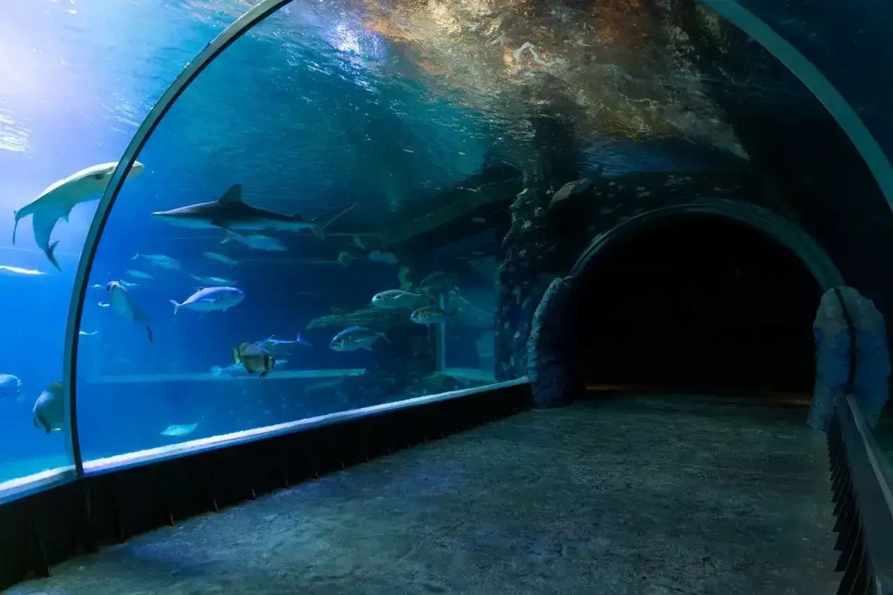 Oceanarium Ustka - Czy warto? Sprawdź, zanim pójdziesz!