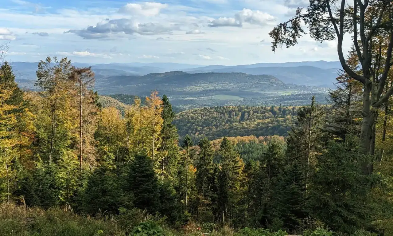 Leskowiec - najlepsze szlaki i wejście do schroniska