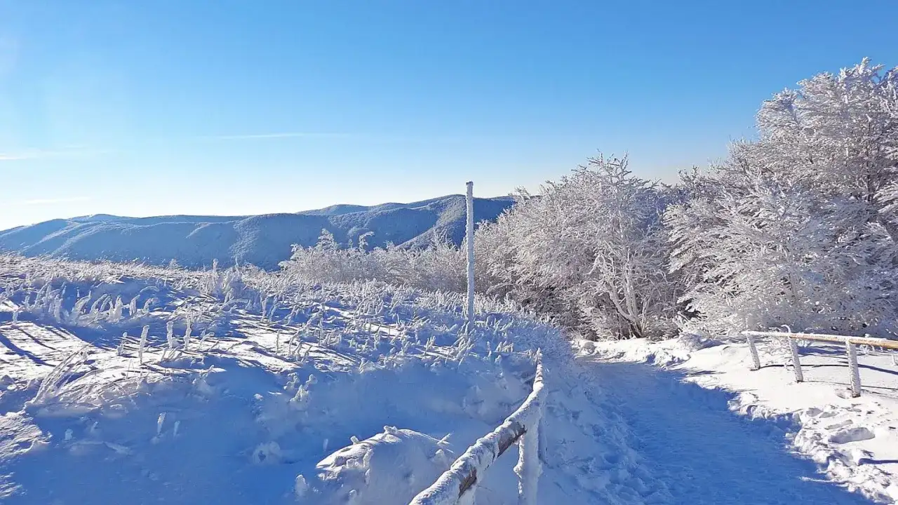 Ferie w Podkarpackiem - Jak zaplanować udany zimowy wyjazd?