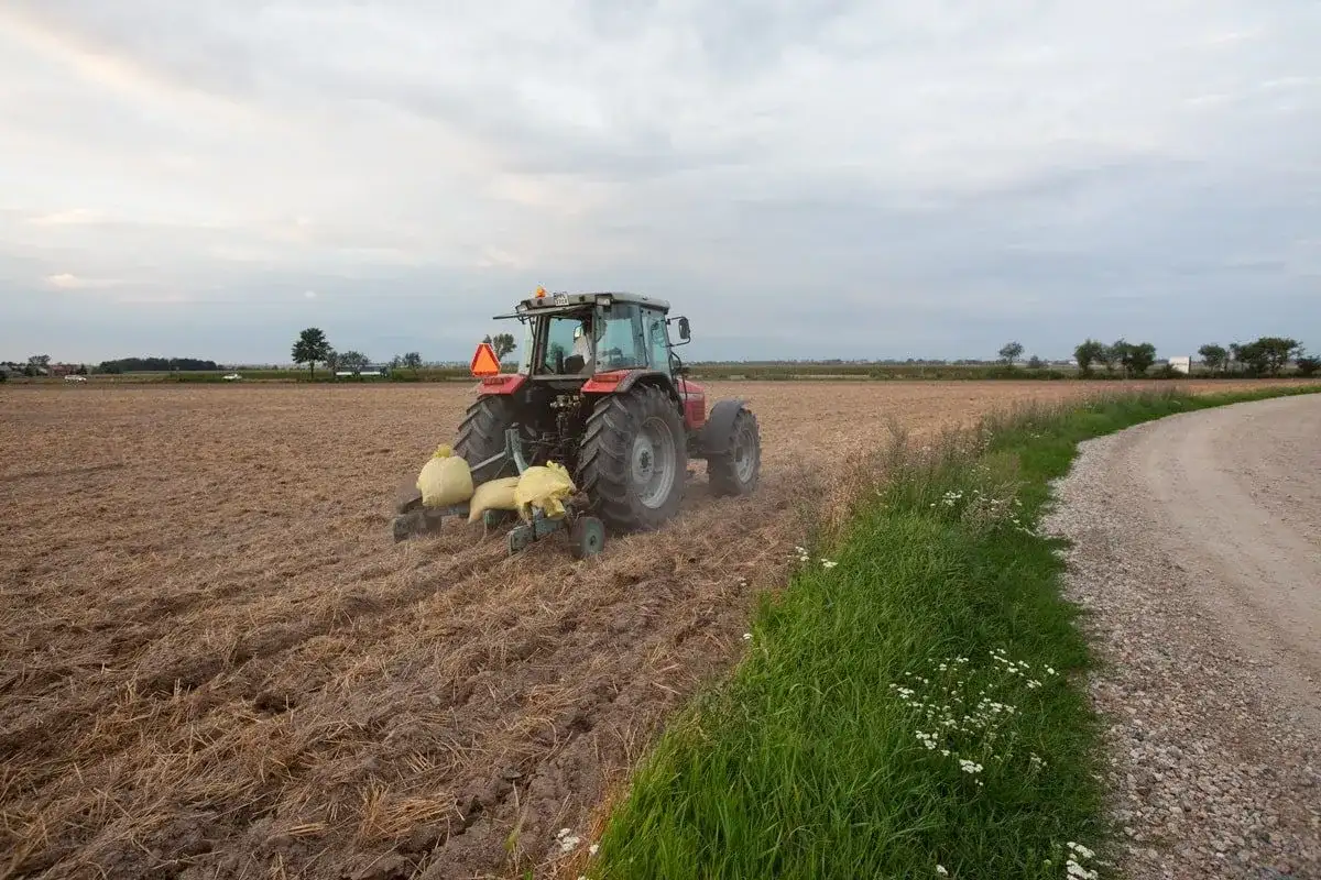 Głęboszowanie - Kiedy naprawdę pomaga? Uniknij błędów!