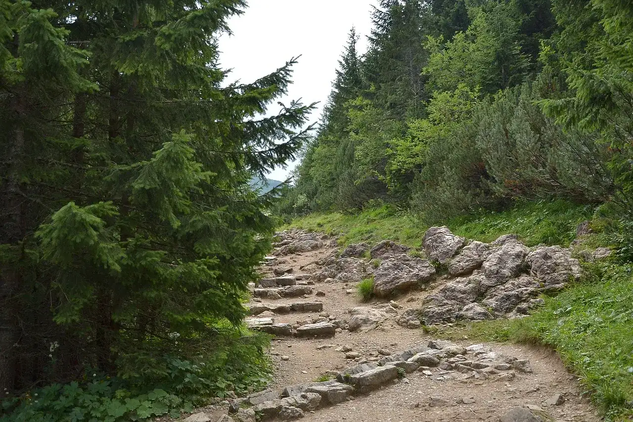 Hala Gąsienicowa i Murowaniec - Jak dojść i który szlak wybrać?