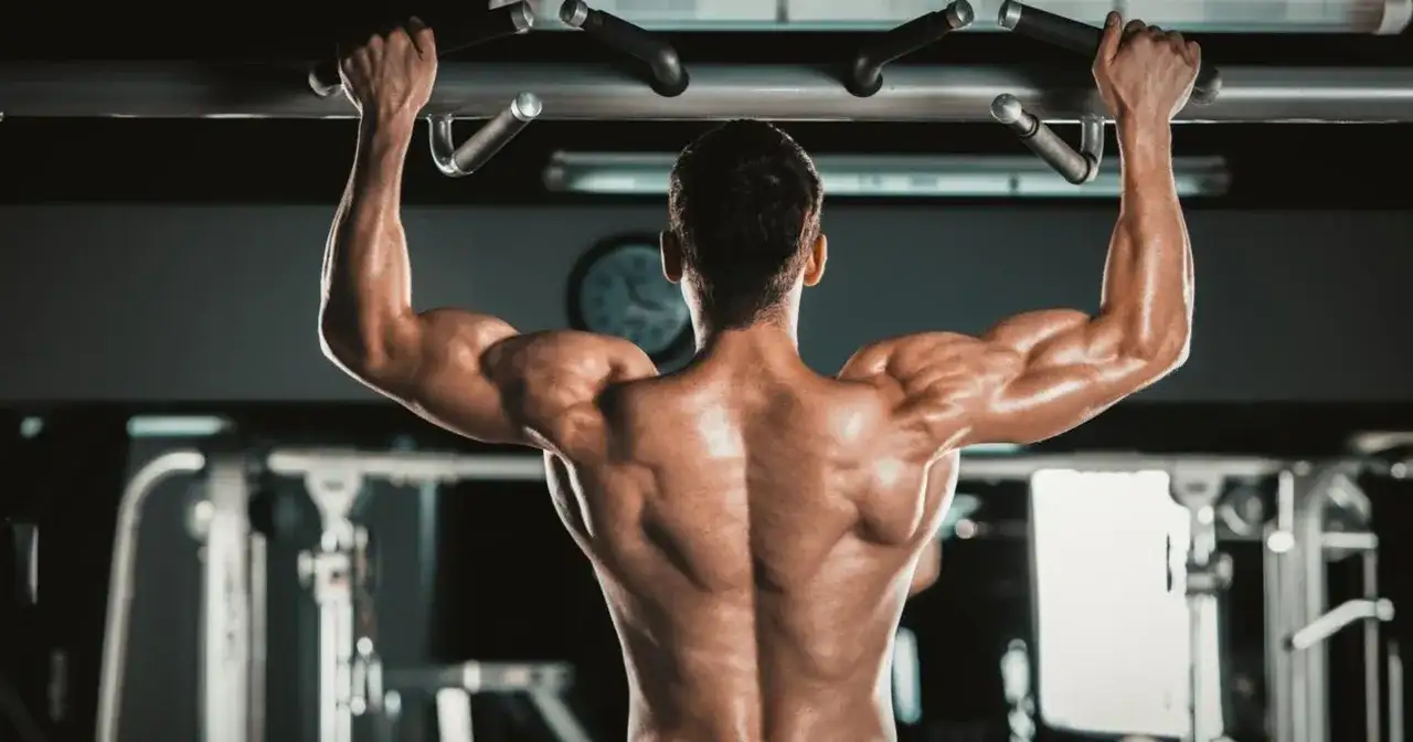Biceps - Więcej niż mięsień? Poznaj jego funkcje i ból!