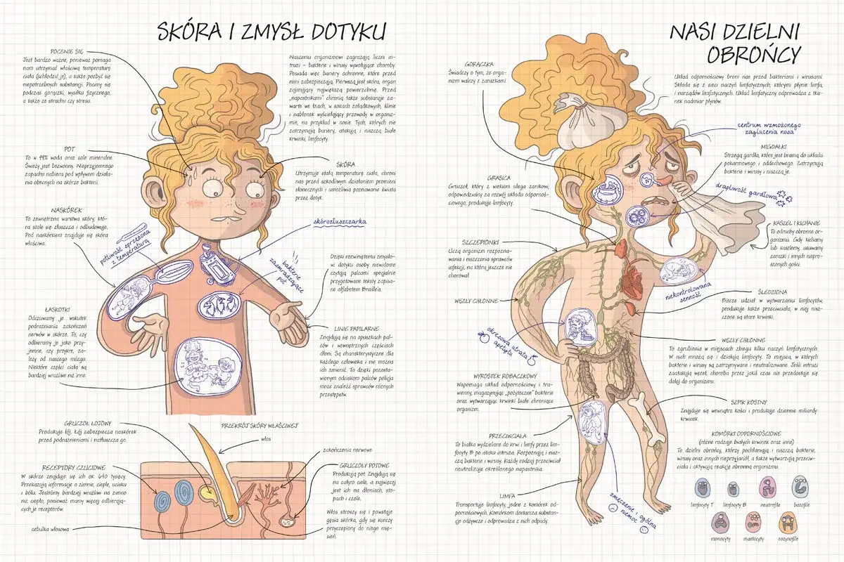 Fizjologia - Jak działa Twoje ciało? Anatomia to za mało!