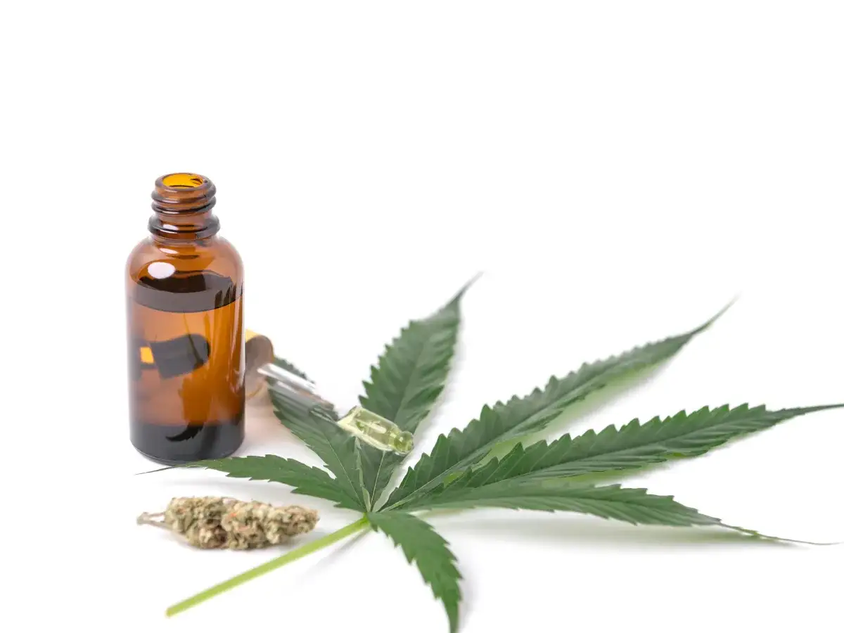 Medyczna marihuana - Czy uzależnia? Bezpieczne leczenie w Polsce
