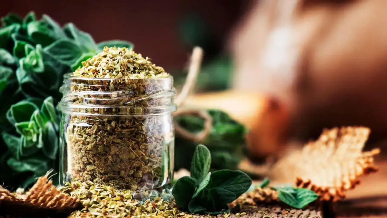Oregano trocknen und richtig lagern für viel Aroma