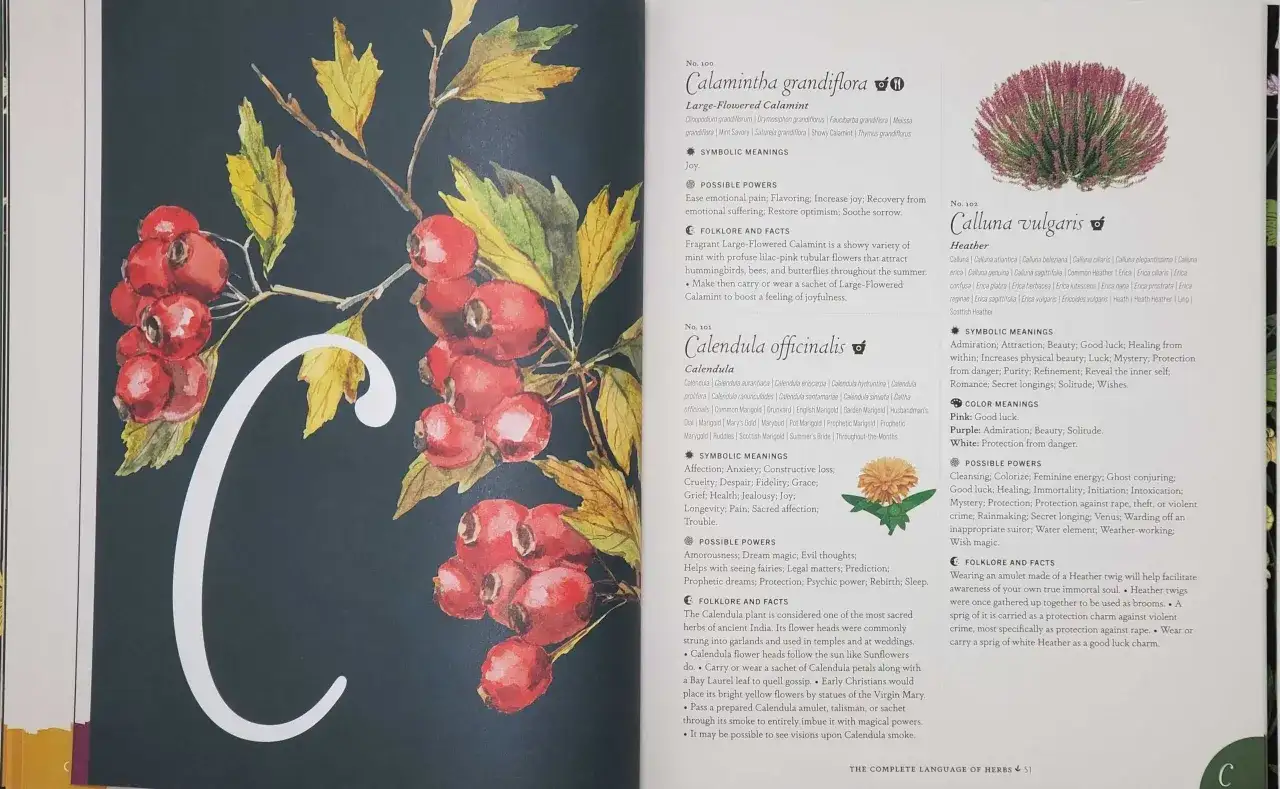 Herb Kuby - Odkryj, co naprawdę oznaczają symbole