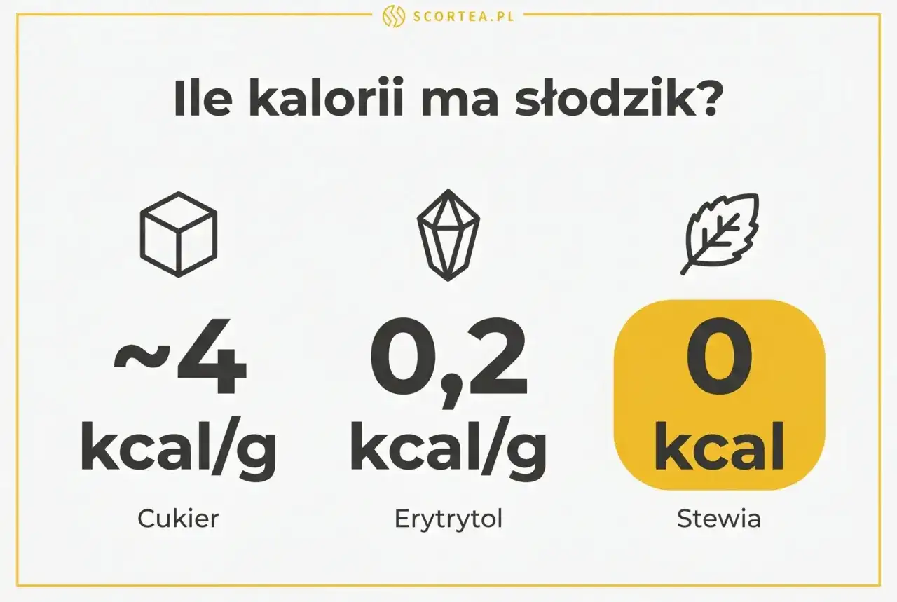 Izomaltuloza - kalorie, IG i fakty. Lepszy cukier? Sprawdź!