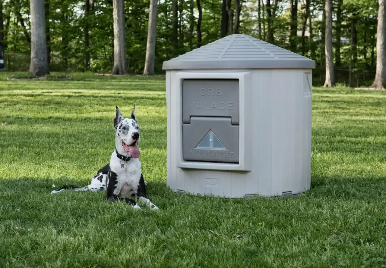 Igloo pour chien - bien choisir le bon modèle