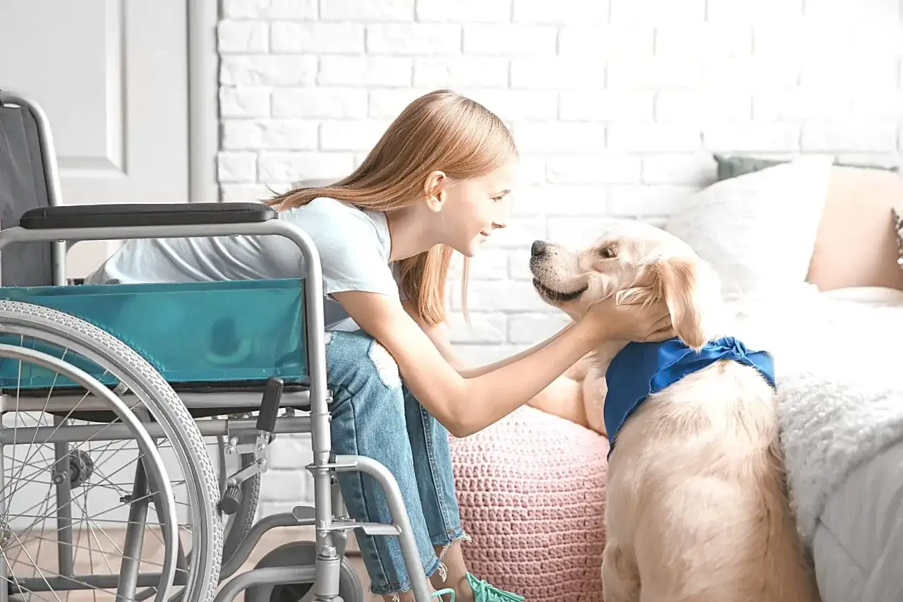 Dogoterapia - komu pomaga i jak wybrać dobre zajęcia?