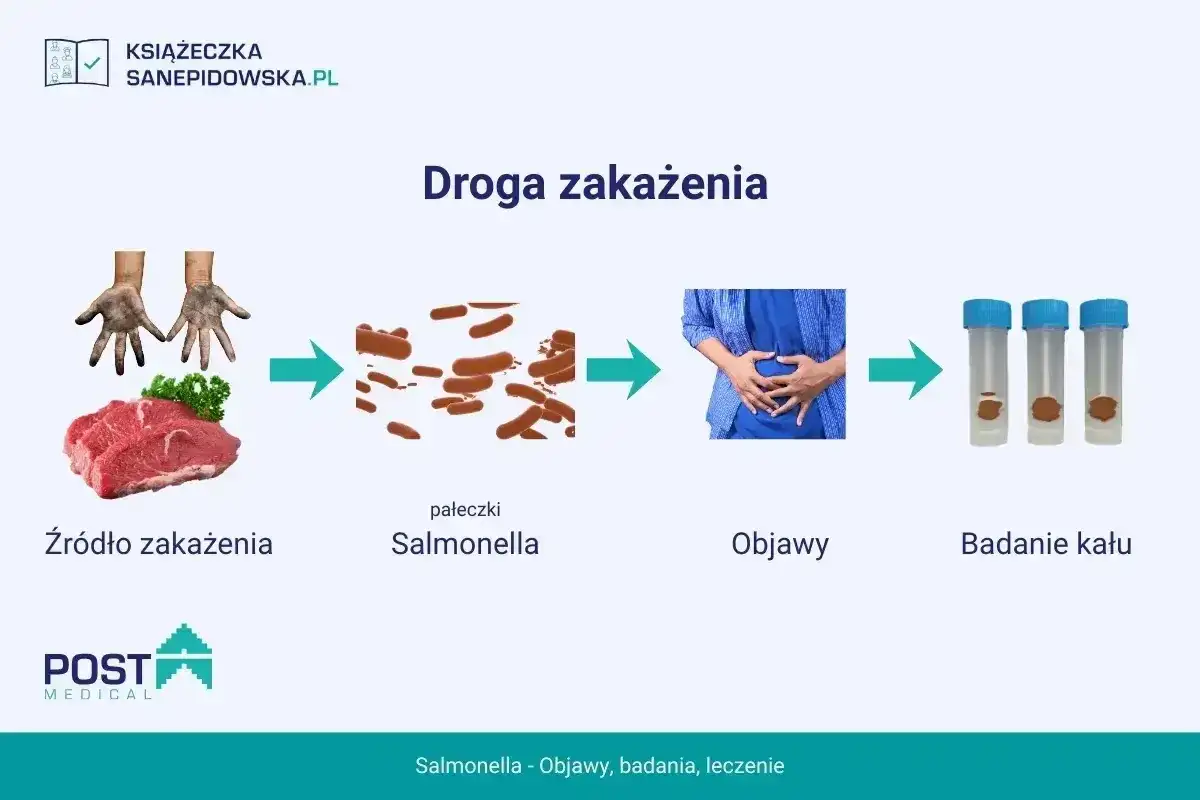 Salmonella u dziecka - objawy, leczenie i kiedy do lekarza?