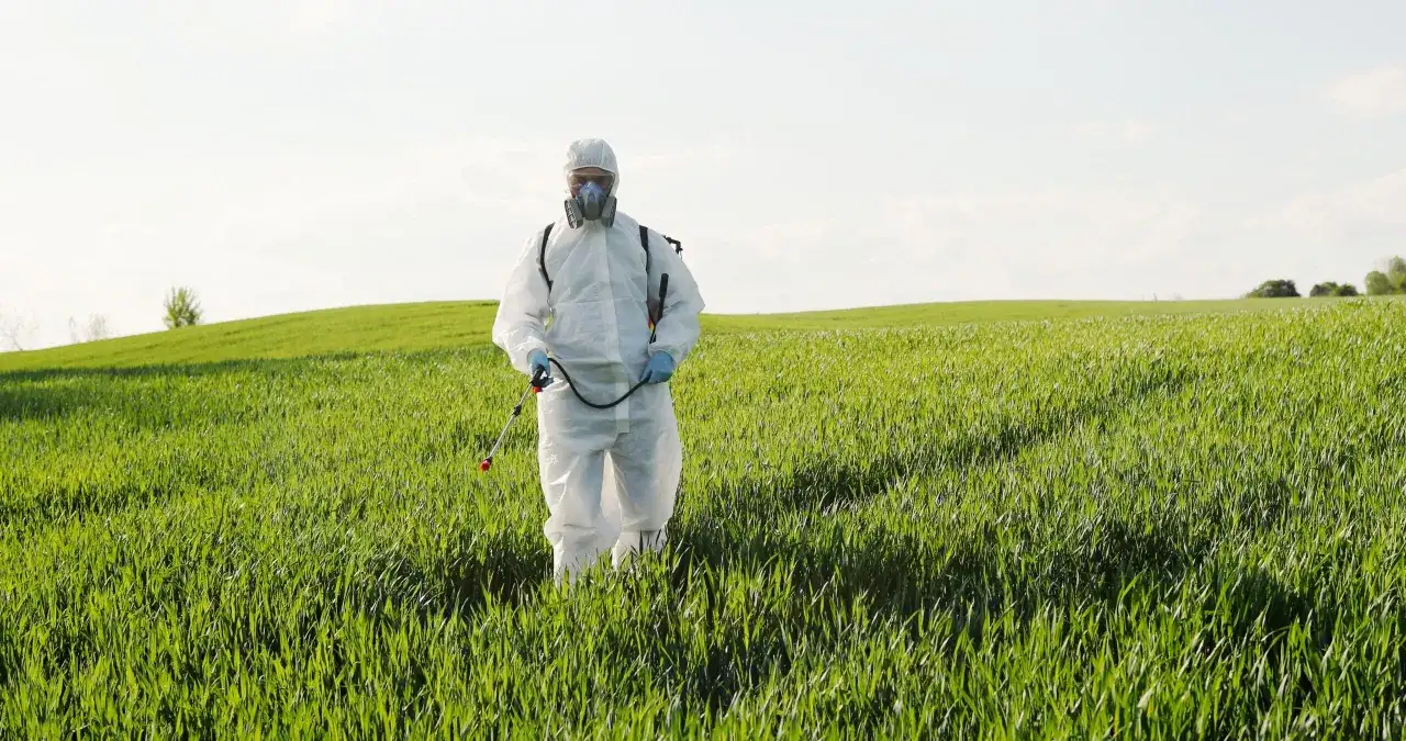 Fumigacja i gazowanie zboża - Dlaczego działa lepiej niż oprysk?