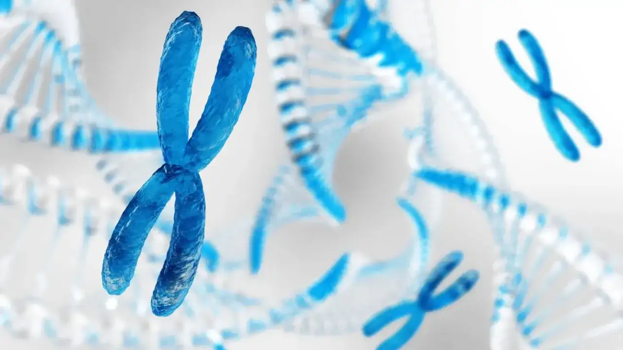 Ile chromosomów ma człowiek? Nie tylko 46! Odkryj prawdę