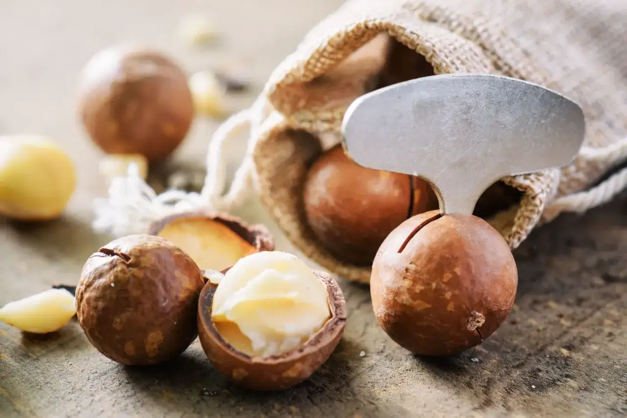 Makadamia w pieczywie - Jak ją wykorzystać, by smakowało?